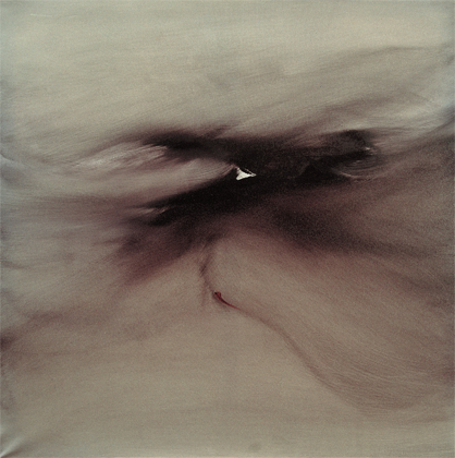 Renata Rampazzi - Metamorfosi (2004 - huile sur toile 110 x 10)
