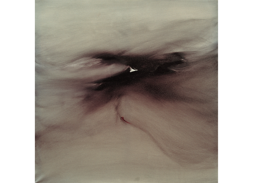 Renata Rampazzi - Metamorfosi (2004 - huile sur toile 110 x 10)