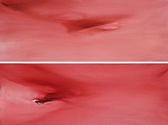 Renata Rampazzi - Rosso 3Rosso 4 ( - oil on canvas 30 x 80)